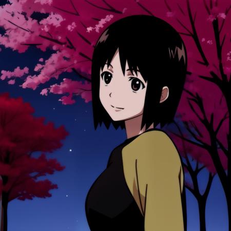 Nakahara Misaki / Welcome to the NHK / original anime style