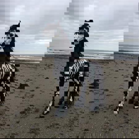 Dark Cute Ponies - Flux ???