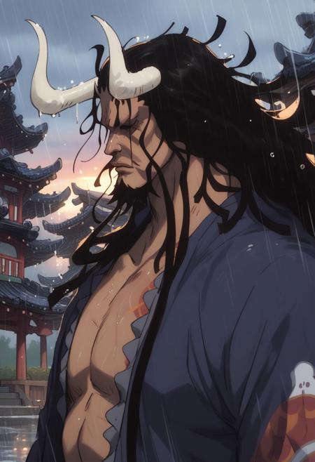 ?‍☠Kaido (M/D) | One Piece!
