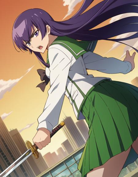 Saeko Busujima (毒島 冴子) - Highschool of the Dead (学園黙示録)