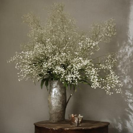 Flowers and shadow. SDXL