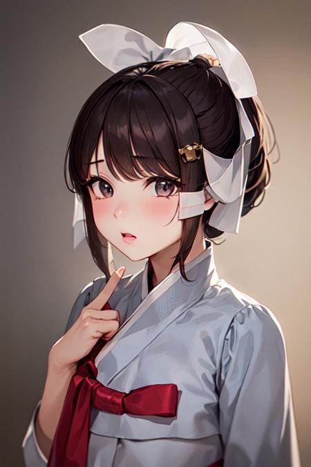 Female Noble Class Hanbok - Korea Clothes
