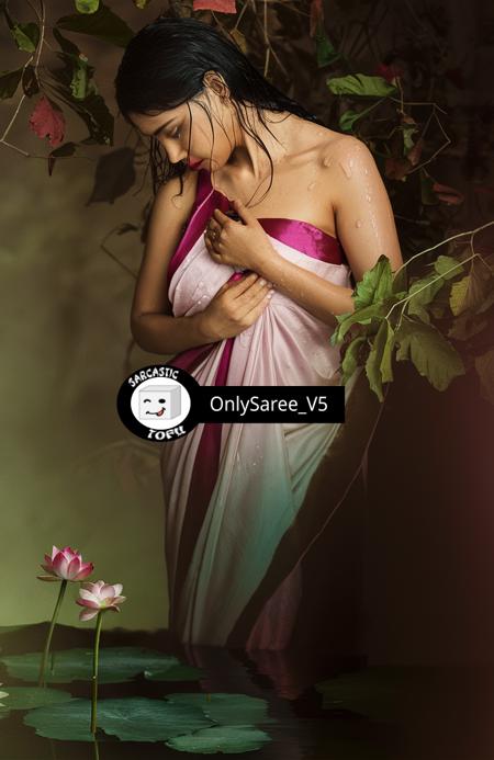 OnlySaree_by_Sarcastic_TOFU版本v5.0 (ID: 719629)