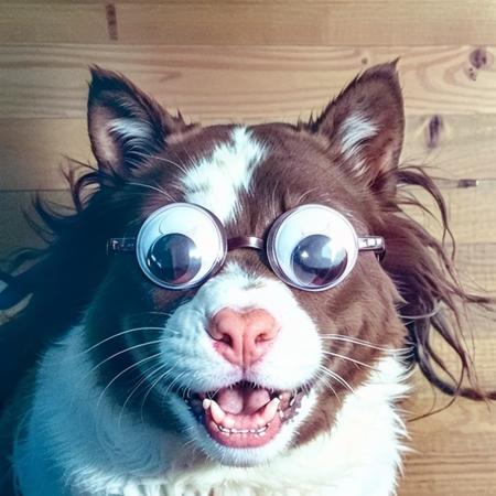 Googly Eyes and Stuff.版本v1.0 (ID: 165833)