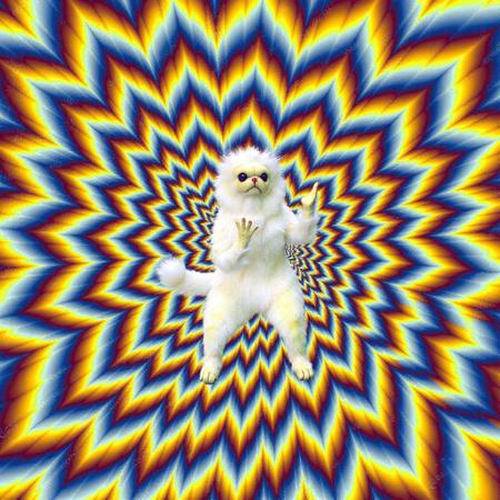 Persian Cat Meme (White Monkey Cat)