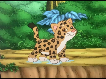 Baby Jaguar (Go Diego Go!)