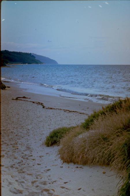 c41_zenit_kodakgold
