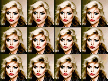 Debbie Harry from Blondie