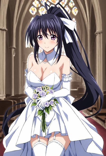 Akeno Himejima - High School DxD [Commission] - Illustrious Update