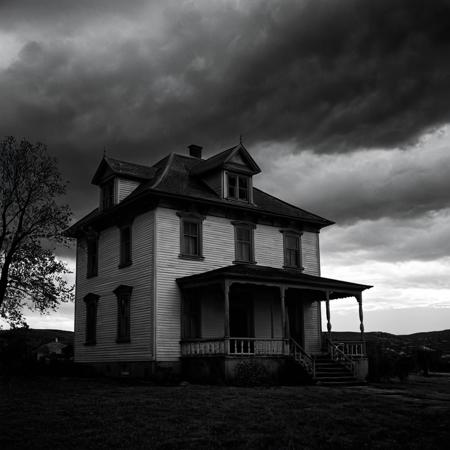 Psycho (1960 film) style XL + F1D