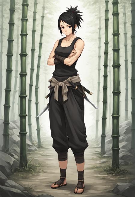 Ayame (Tenchu) XL [Pony + Illustrious]