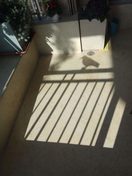 shadows and reflections版本shadows and reflections (ID: 263803)
