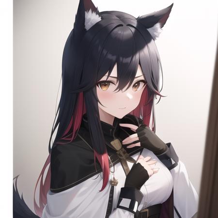 德克萨斯-明日方舟（Texas-Arknights）
