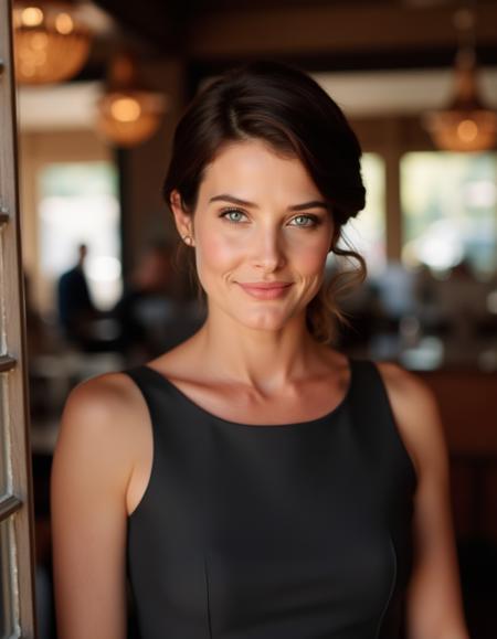 Cobie Smulders (Flux)版本V1 (ID: 1133849)