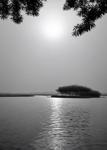 中国白洋淀 CHINA_Baiyangdian Lake