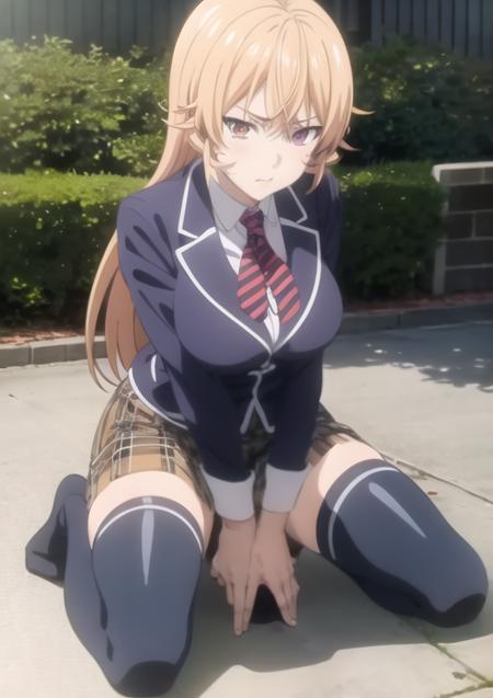 Nakiri Erina | Food Wars