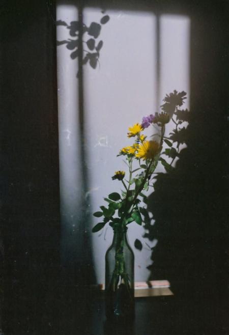FP100C