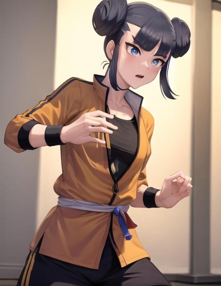 Master Dojo Student (Pokemon sword and shield)