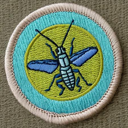 Merit Badge Embroidered Patch Style XL