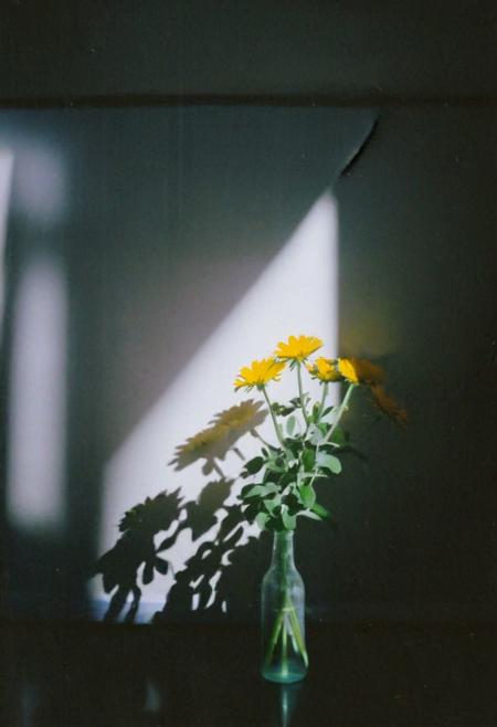 FP100C