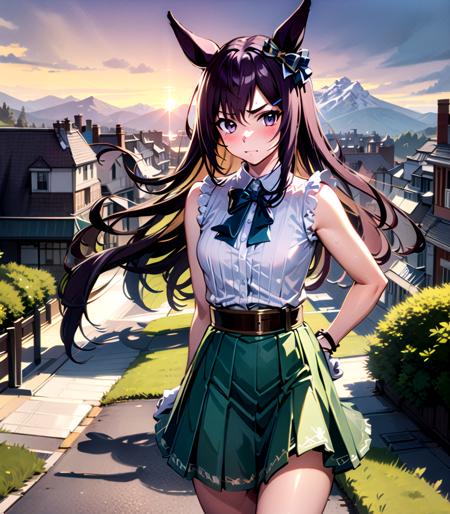 MejiroDober 目白多伯 (umamusume)版本v1.0 (ID: 126049)