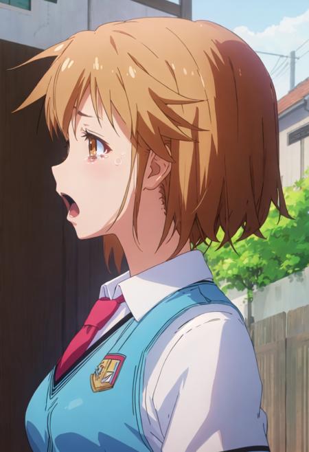 Kamiigusa Misaki (Sakurasou no Pet na Kanojo)