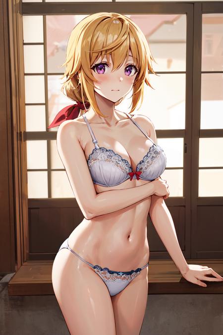 Charlotte Dunois シャルロット・デュノア / Infinite Stratos