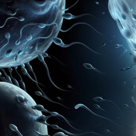 Gametes SD 1.5