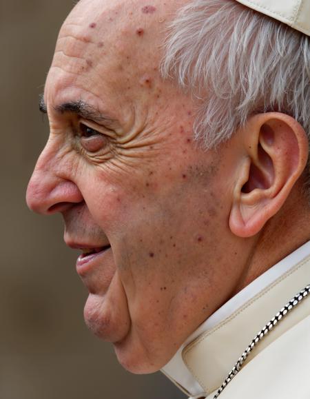 Pope Francis (Flux)