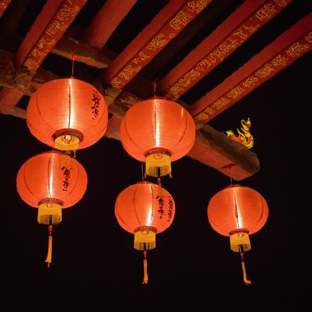 Realistic Lunar New Year Style