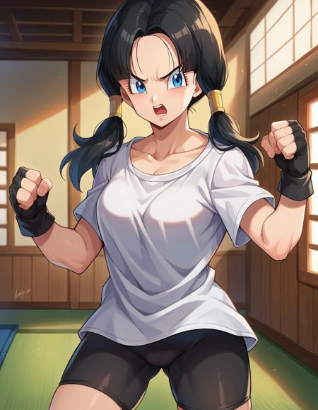 Videl (ビーデル) - Dragon Ball (ドラゴンボール)