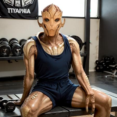 Turian (Male + Female) - Mass Effect Concept Lora - PonyXL