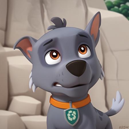 Rocky - Paw Patrol