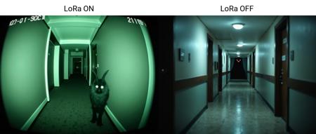 ? Horror CAM ?