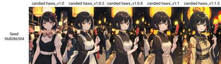 冰糖葫芦(candied haws)