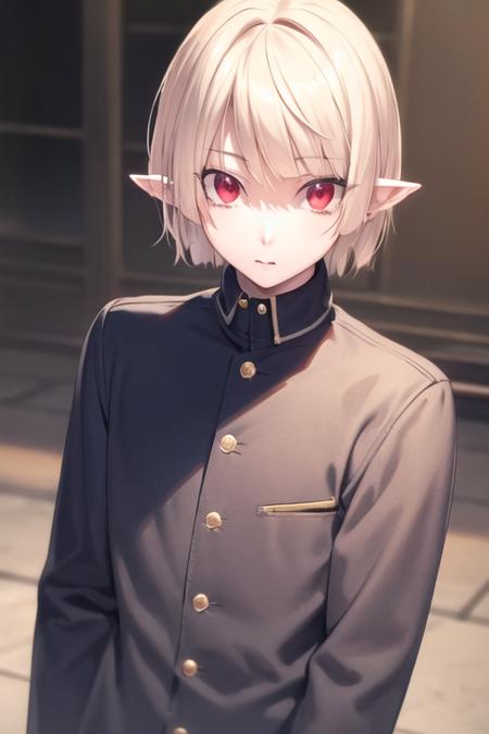 Gasper Vladi / High School DxD