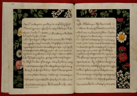 Codex Copiales Cipher
