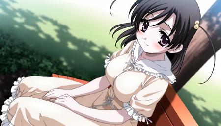 katsura_kokoro (school_days) XL Illustrious LORA