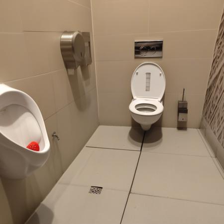 Public male toilet版本V1 (ID: 656463)
