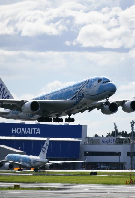 A380 Flying Honu / A380 フライング・ホヌ版本V1 (ID: 1210846)