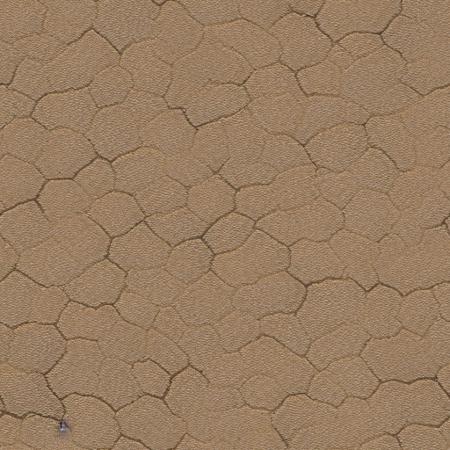 Diffuse Texture