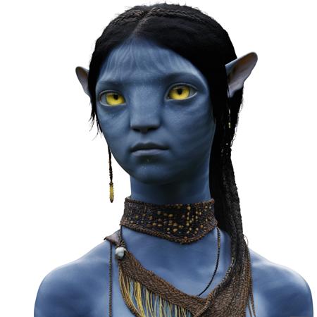 Avatar Visual Dictionary Style - Characters版本V1 (ID: 812973)