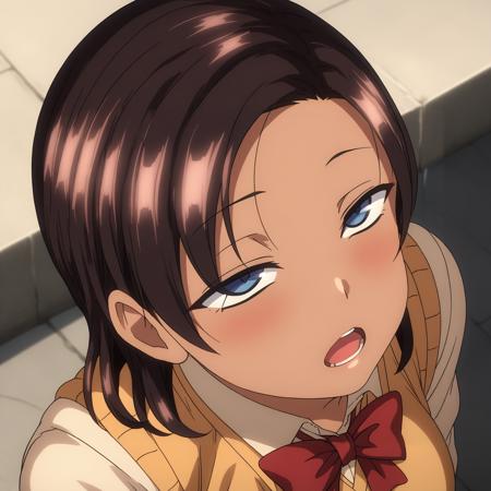 Sae Hinata (Ijirare Fukushuu Saimin) XL pony LORA