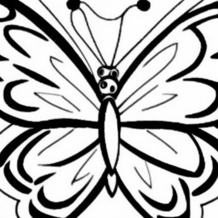 lineart