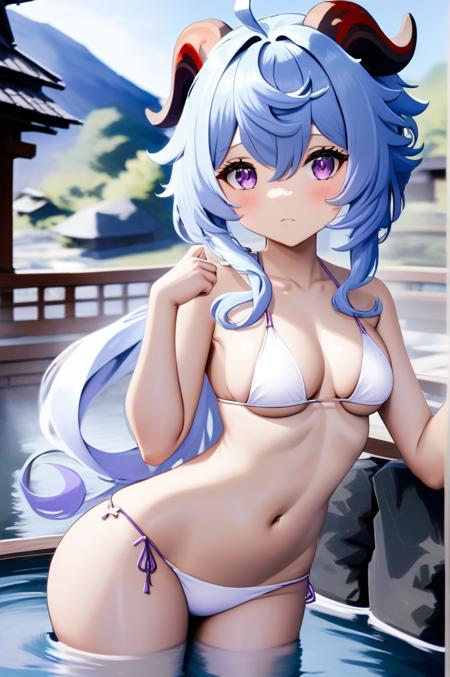 Hassaku XL (Illustrious)
