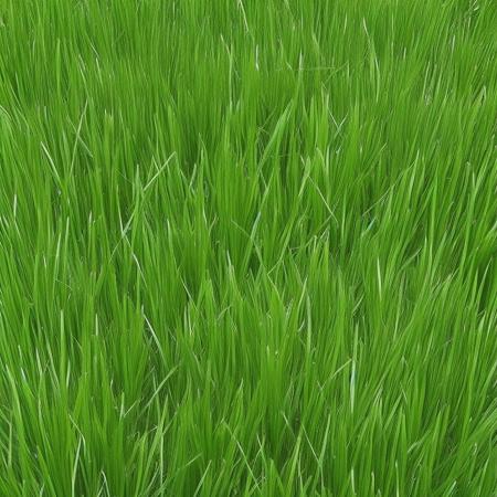 Grass texture版本v1.0 (ID: 124802)
