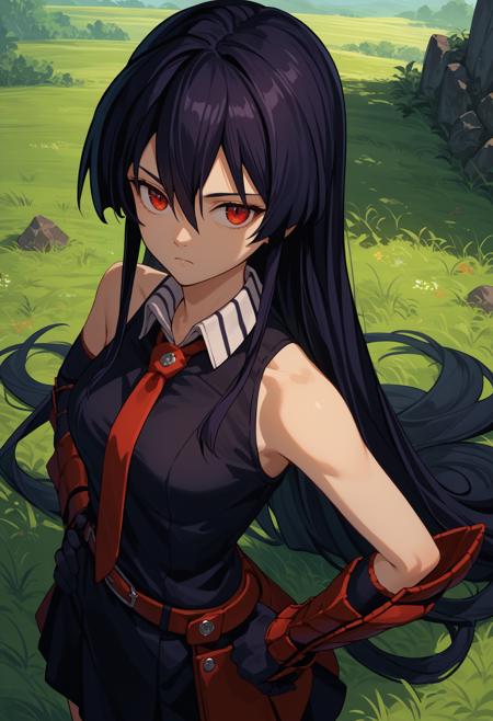 [PonyV6 XL] Akame | Akame ga Kill!