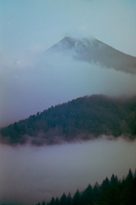 c41_zenit_kodakgold