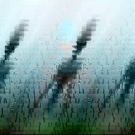 Foggy