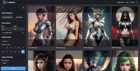 picExpert Bulk Image Resizer And Crop Tool版本v2.0 (ID: 127099)